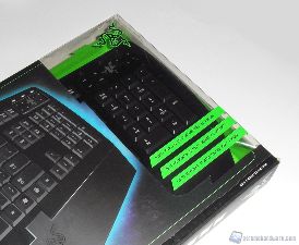 razer arctosa 2b